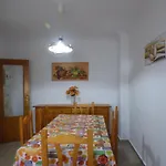 Apartment Conil Playa Ibiza *